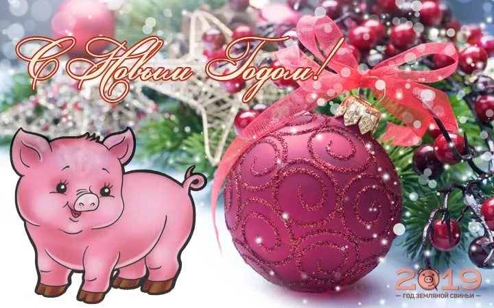 Новогодний Поздравление Свиньи