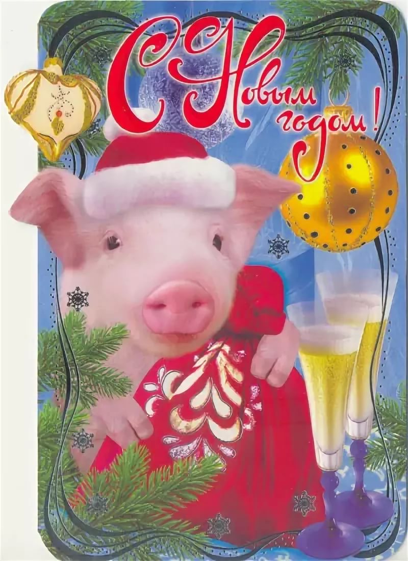 Поздравление С Новым Годом 2021 Годом Свиньи Друзьям